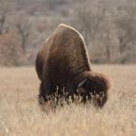 Stredné školy - výmenný program - 0464079 - 2